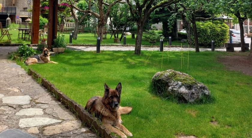 Petfriendly Hotel Saurat